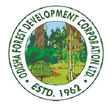 Partner 6 Logo